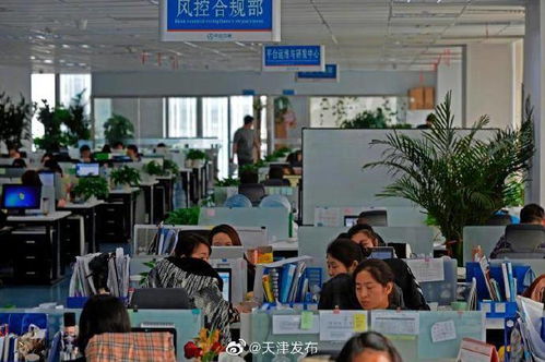 中企云鏈 以創新金融科技服務安心扎根，以信息技術咨詢服務舒心發展