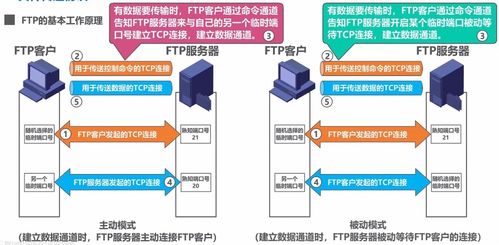 計(jì)算機(jī)網(wǎng)絡(luò)學(xué)習(xí)筆記